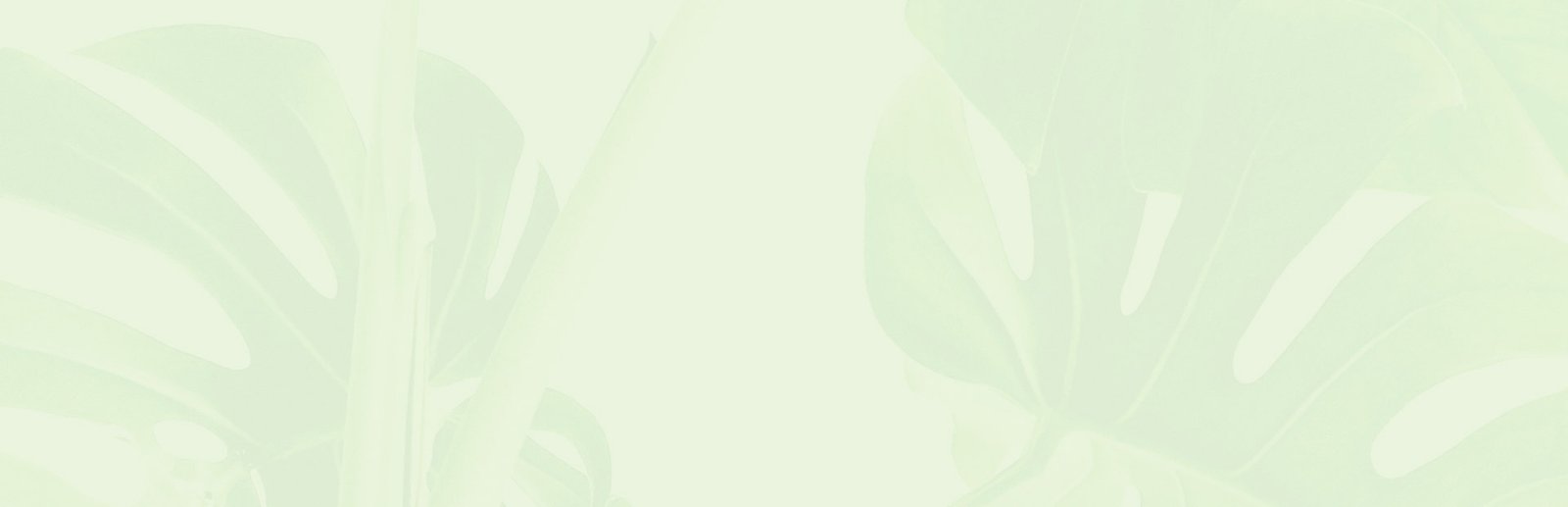 Leaves Background